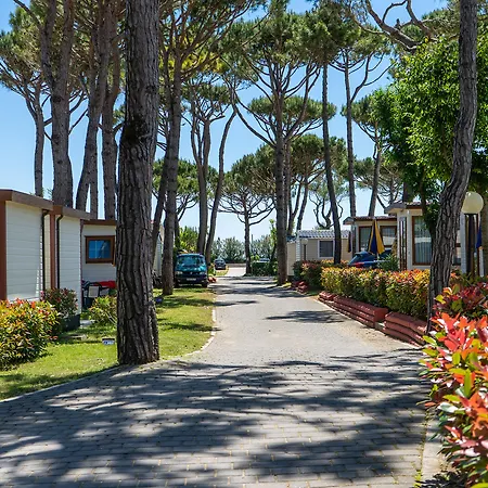 Village 4*